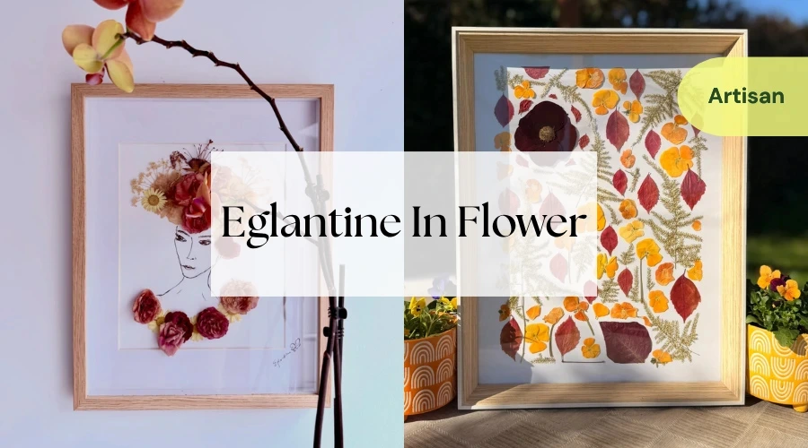 Eglantine in Flower