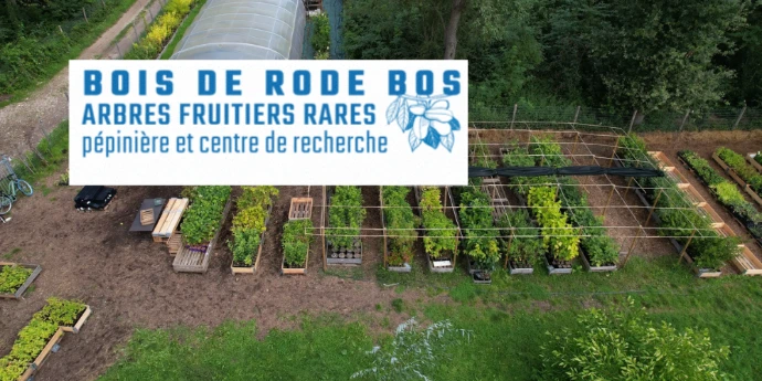 Logo Bois du Rode Bos