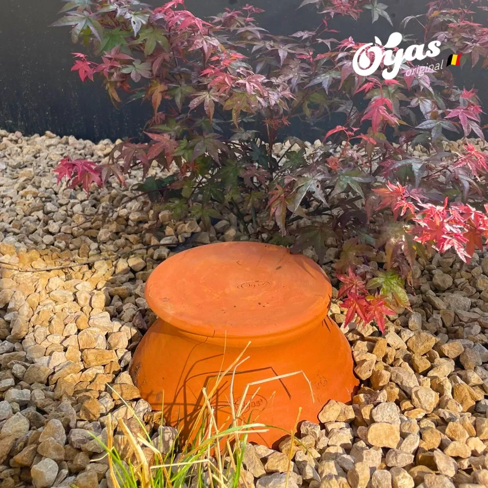 Potager AEL (3).webp