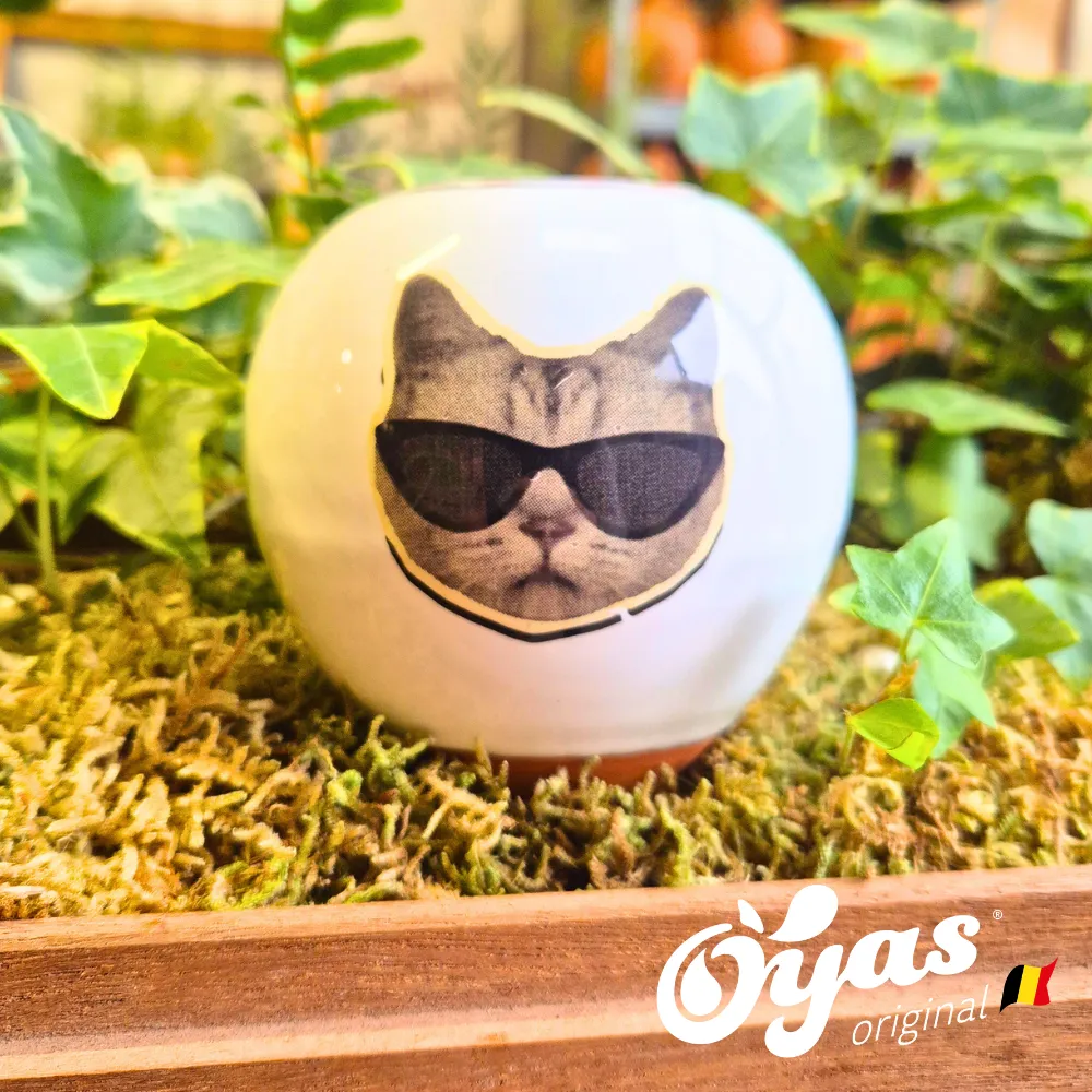 Oyas® à planter - Small Décorés