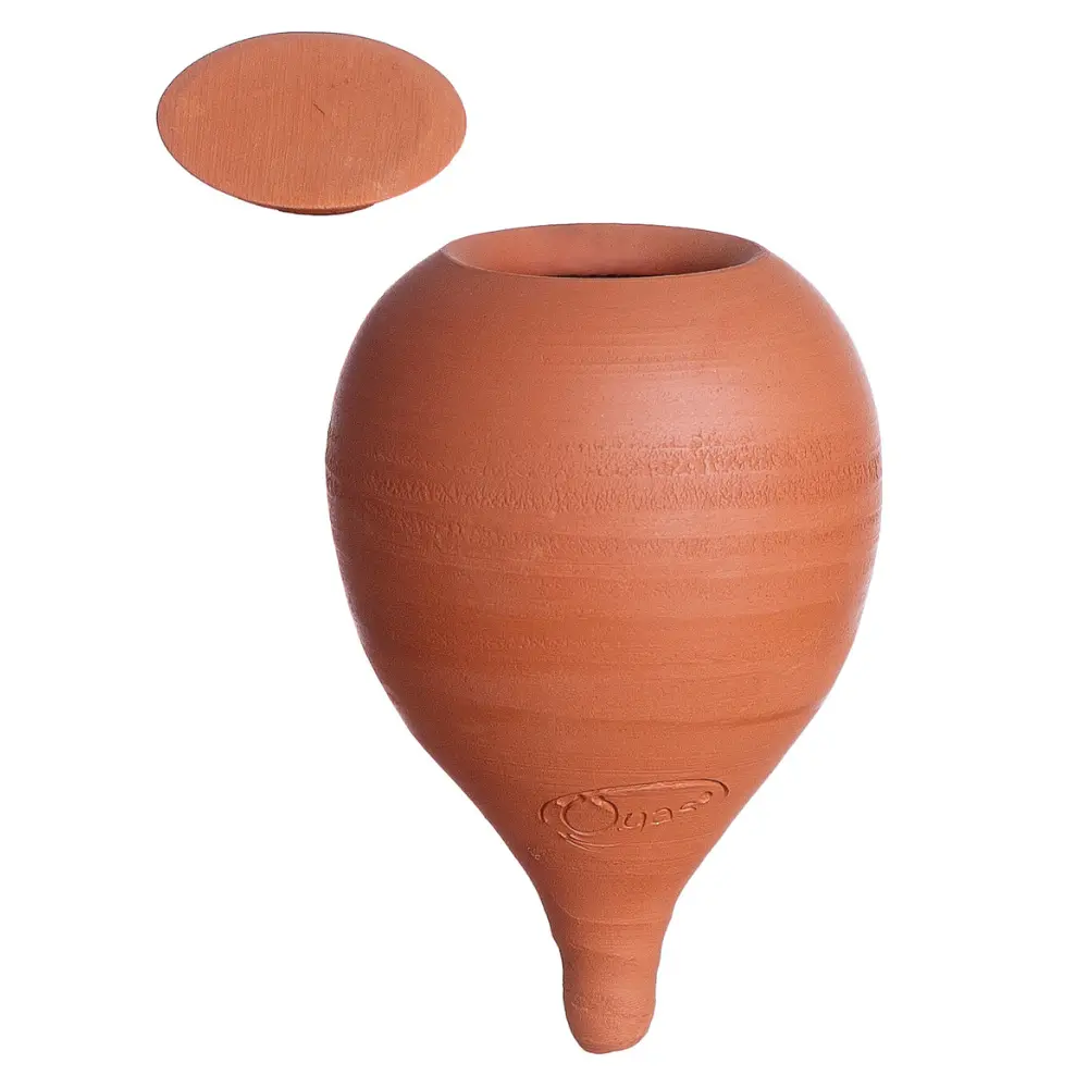 Oyas ® à planter - Mini Nature