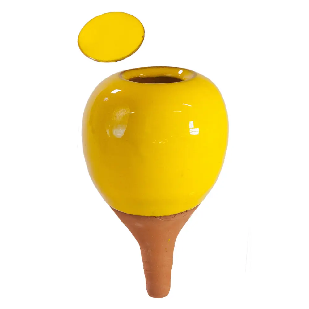 Oyas® to plant - Small Colors