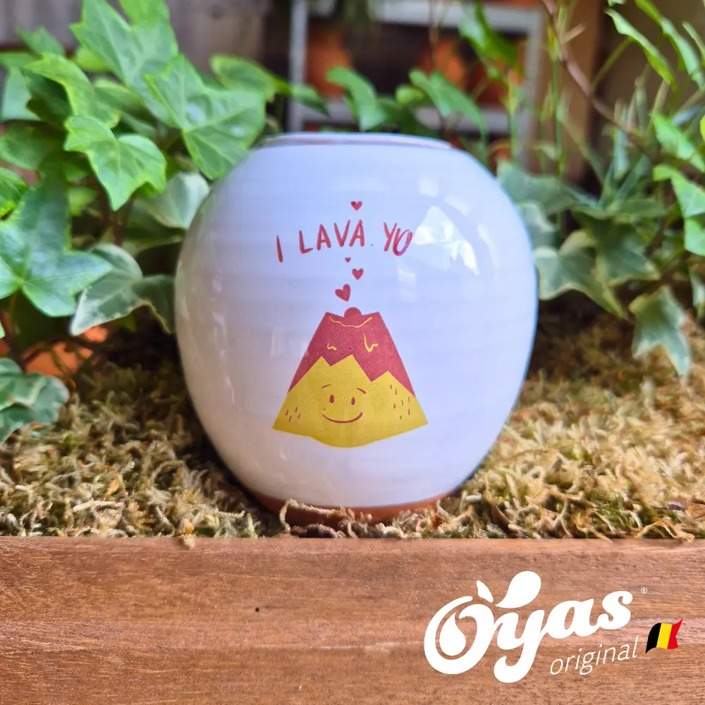 Oyas® to plant - Small Decor
