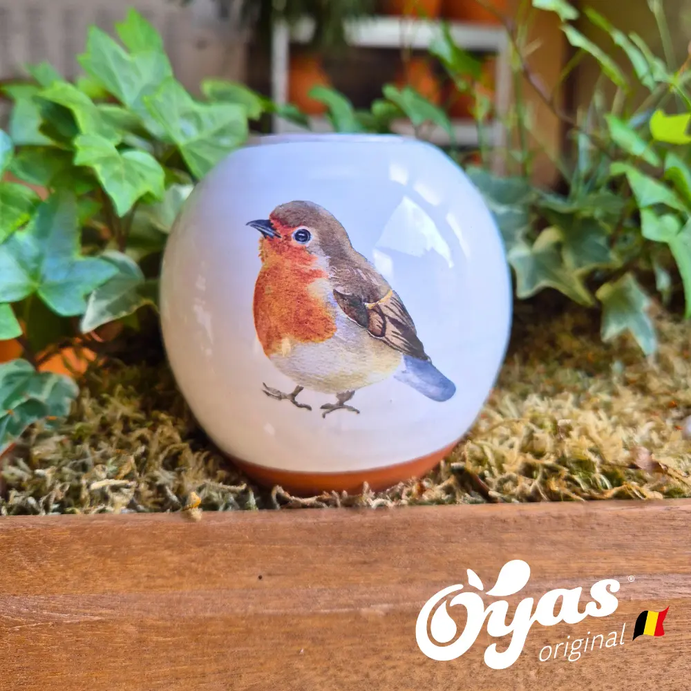 Oyas® à planter - Small Décorés