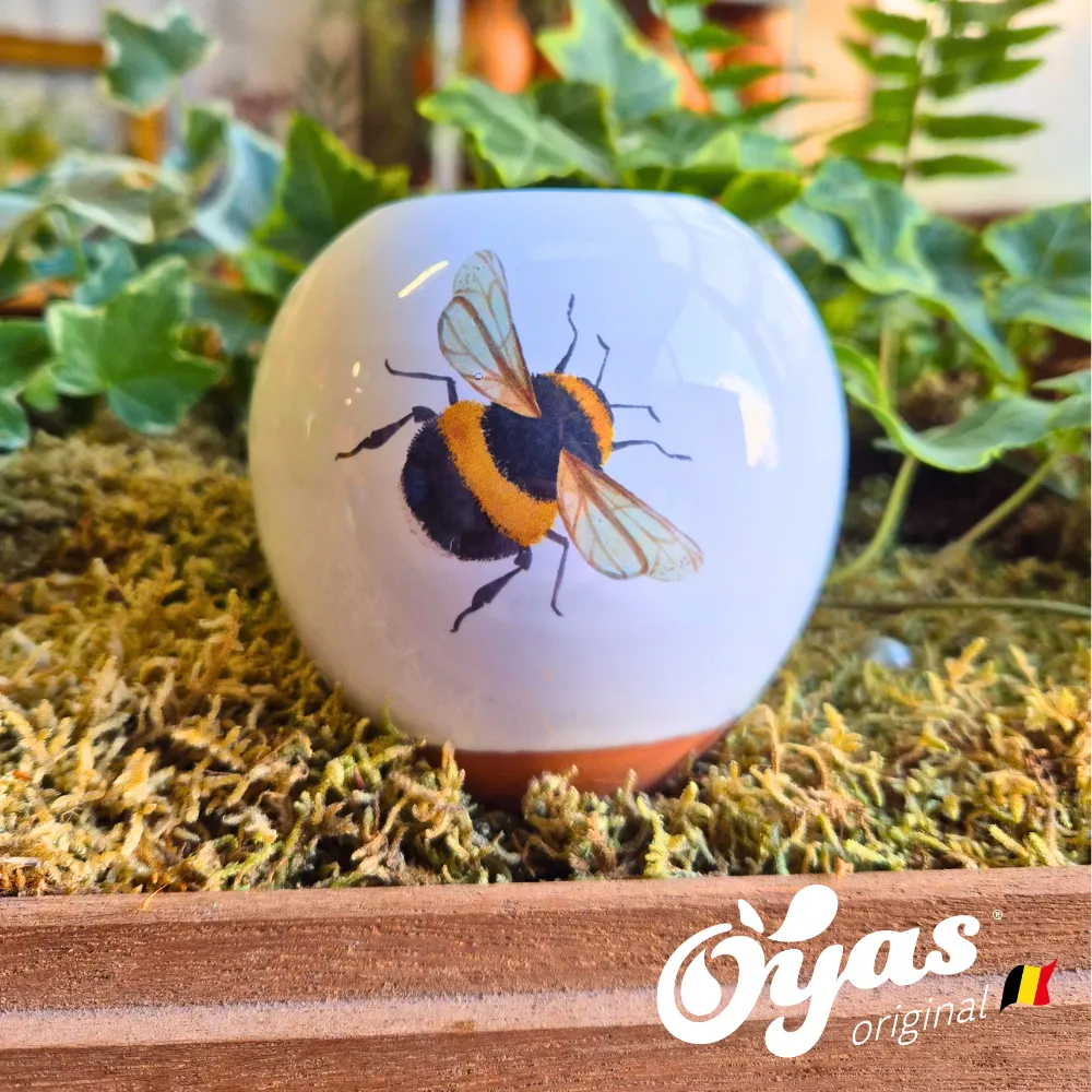Oyas® to plant - Small Decor